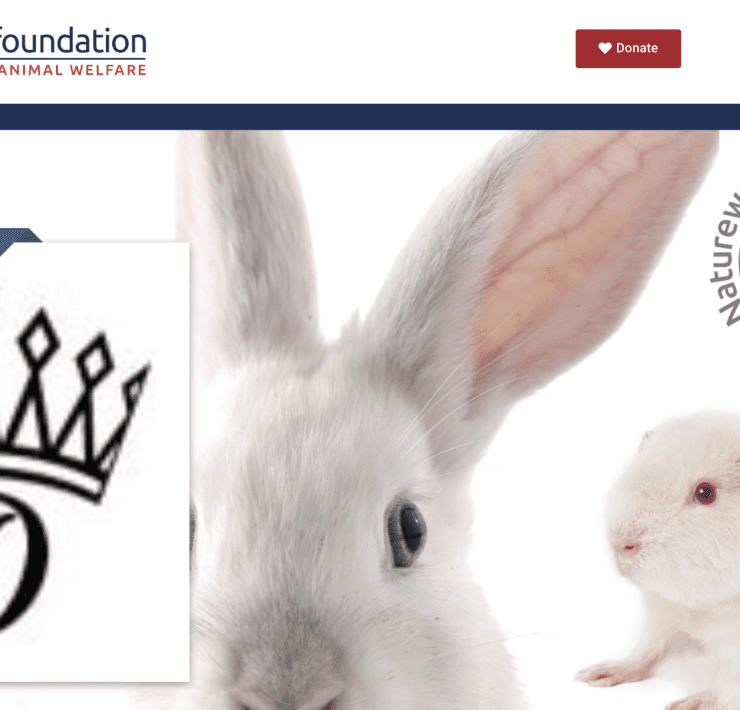 cruelty free logo leaping bunny brands