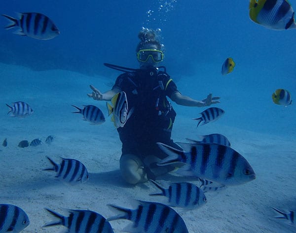 conrad bora bora hotel diving excursion eve dawes underwater fish