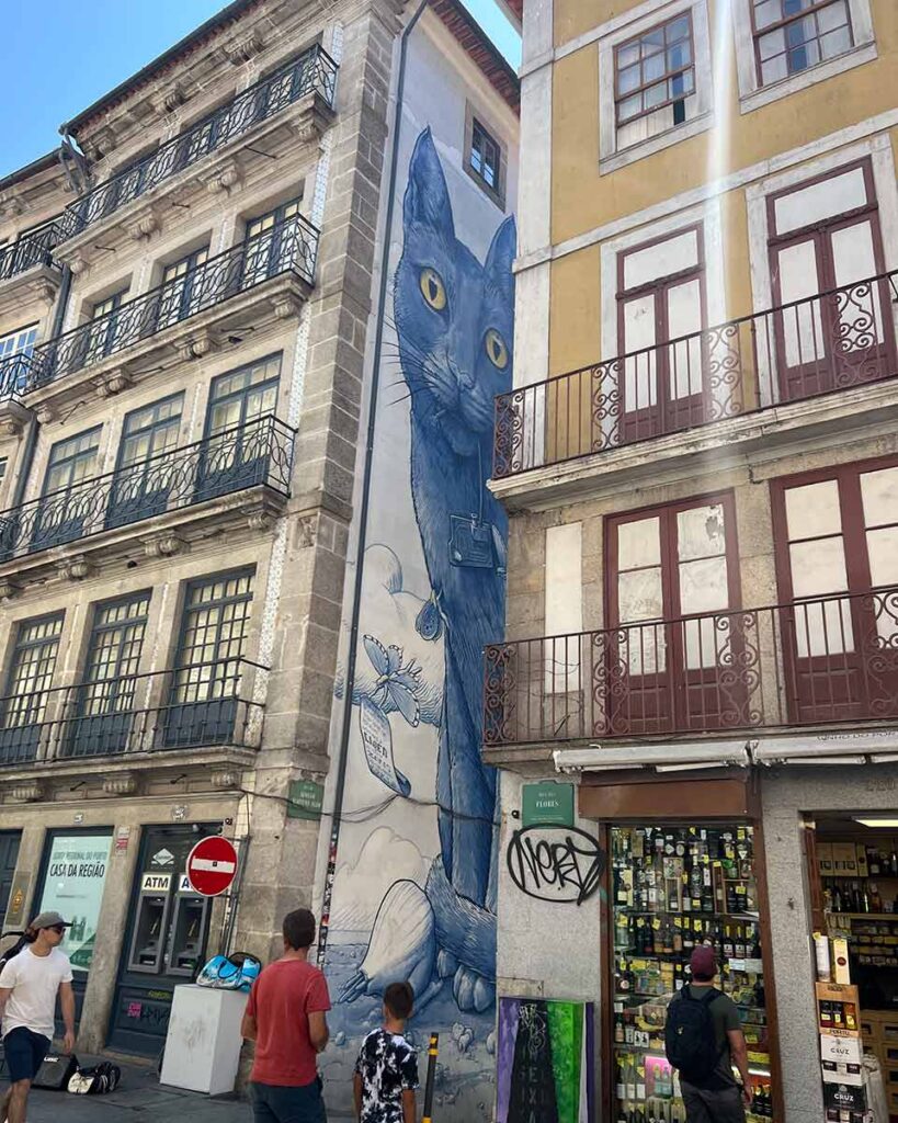 street art Perspéntico blue cat porto rua das flores