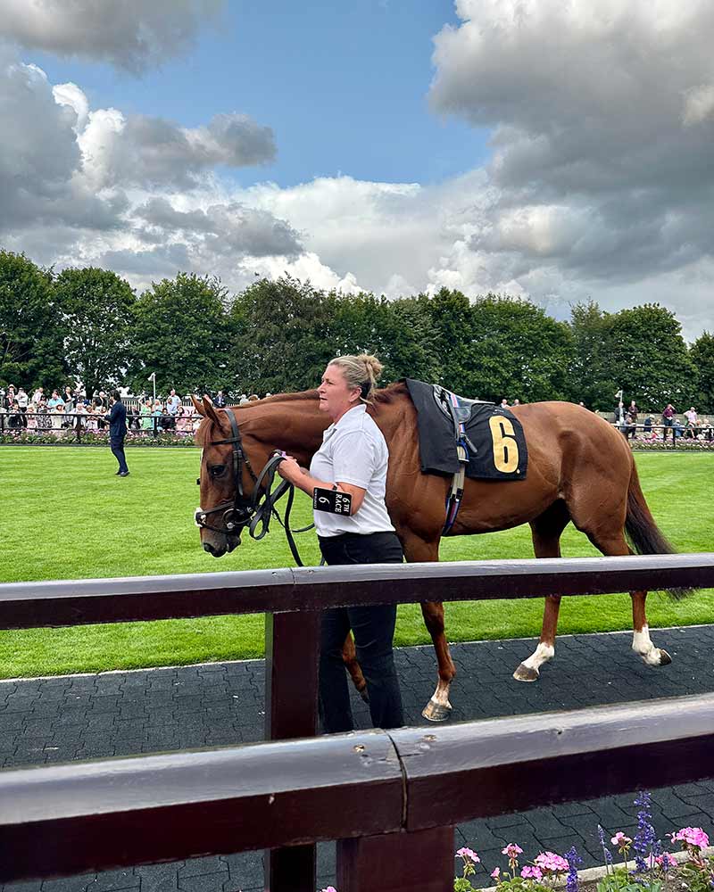 newmarket horse races winners enclosure