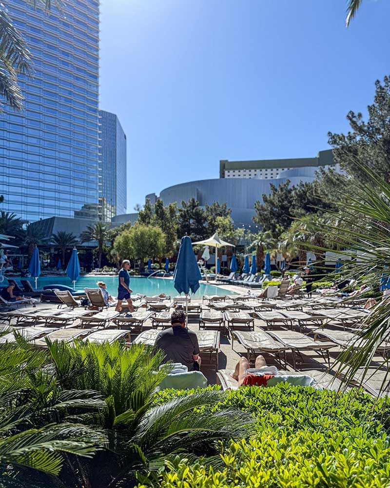 Aria Las Vegas pool