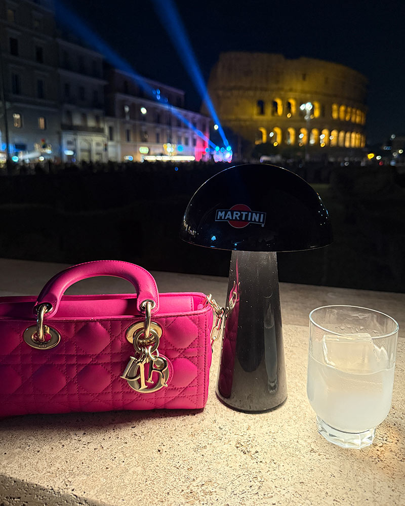 bag trends Dior Lady D Joy bag flap fastening