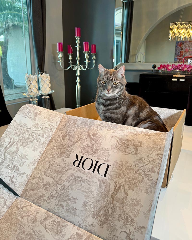 Free gift with purchase Dior beauty code