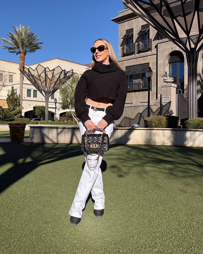 dior top handle bag baclk jolie