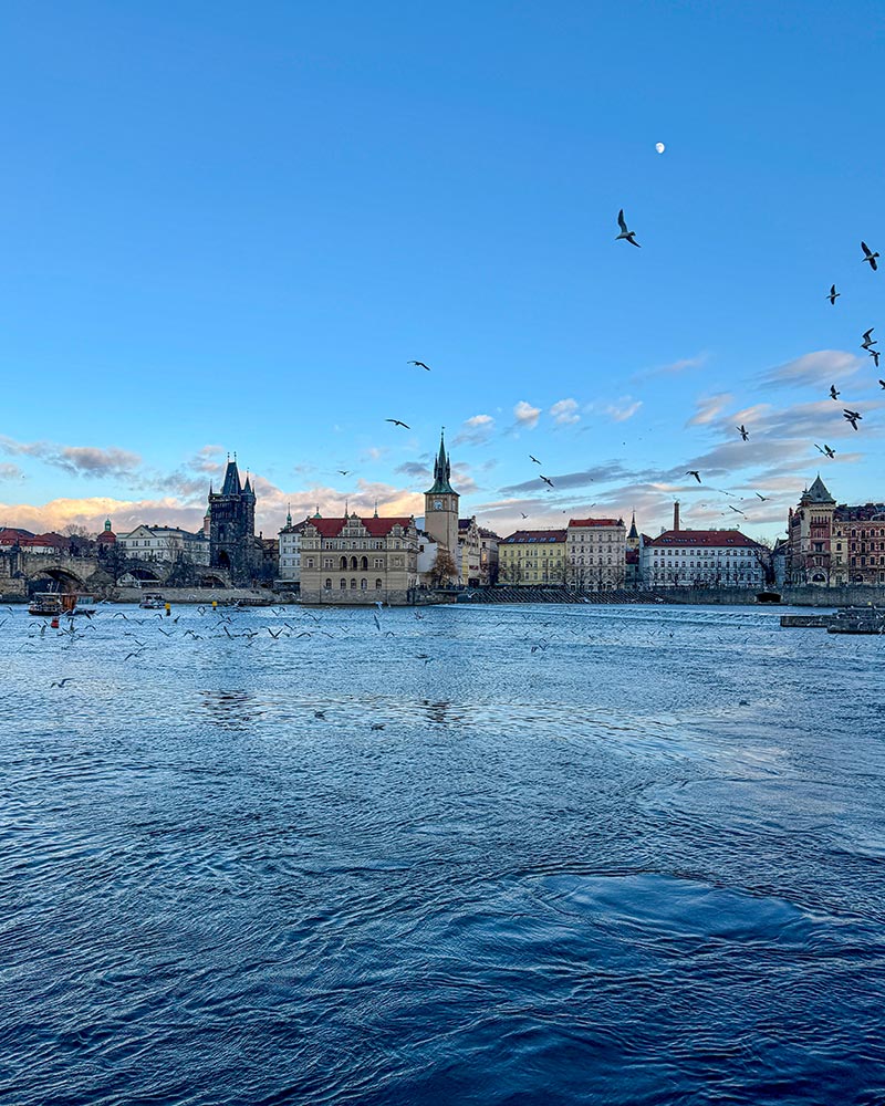 things do prague czech republic river cruise
