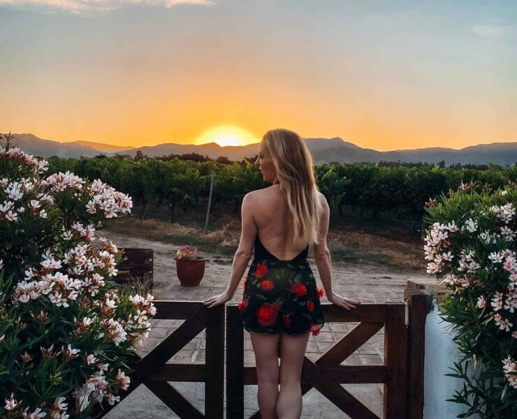 colchagua valley chile wine tour