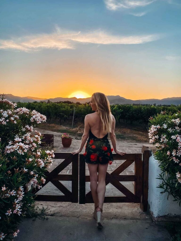 dinner vino bella santa cruz Colchagua Valley