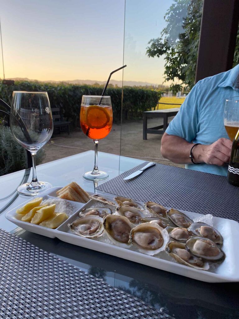 best dinner colchagua valley chile Viu Manent Restaurant