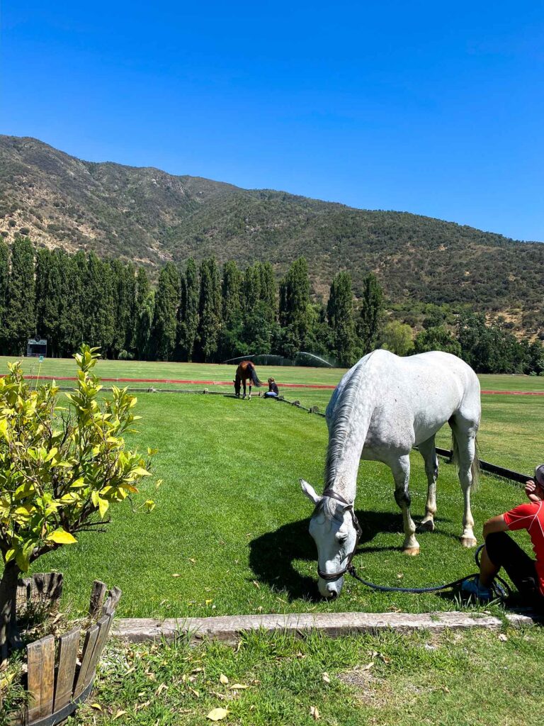 Casa Silva Winery Chile