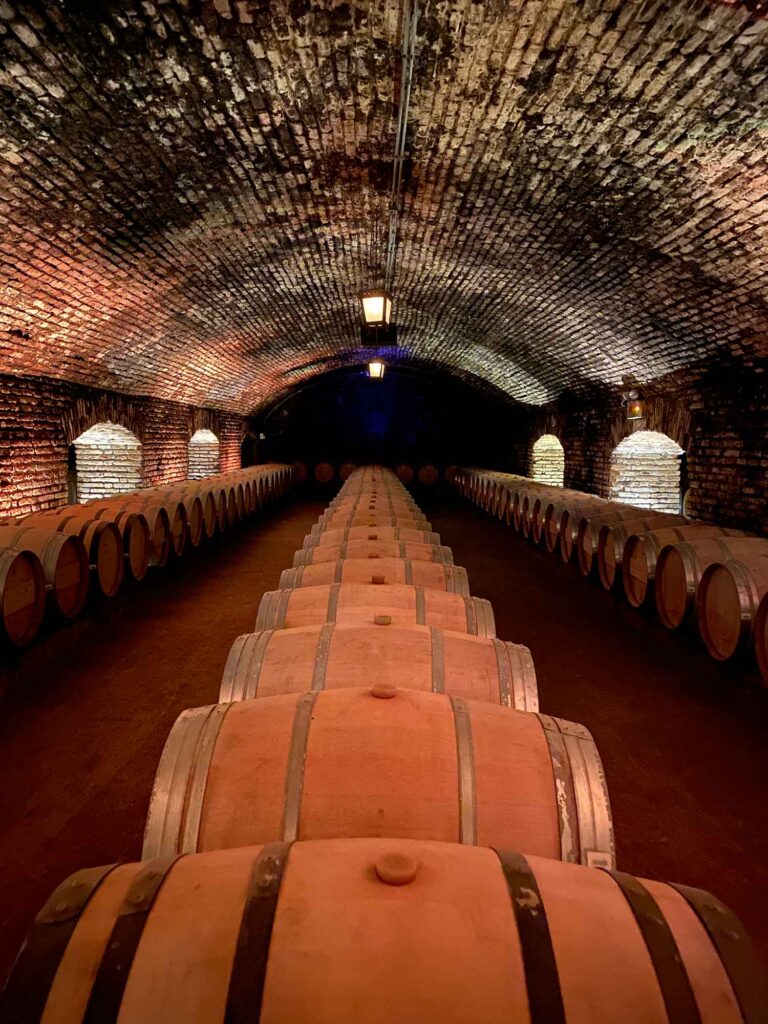 Concho Y Toro winery cellars chile