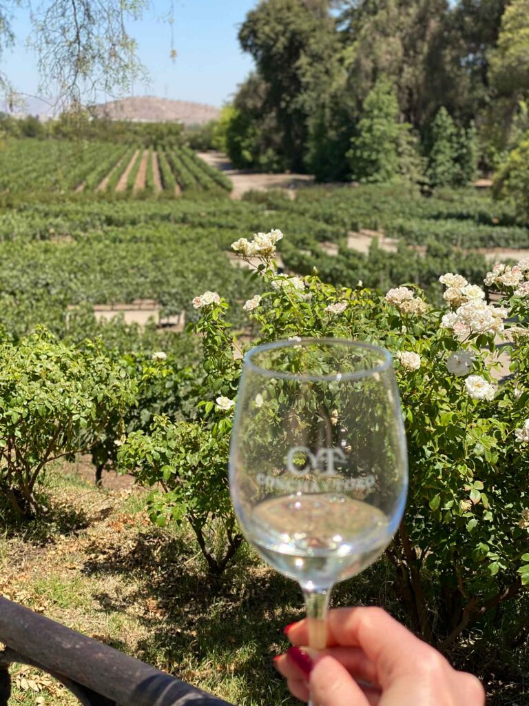 Wine tasting at Conca Y Toro Chile Maipo Valley