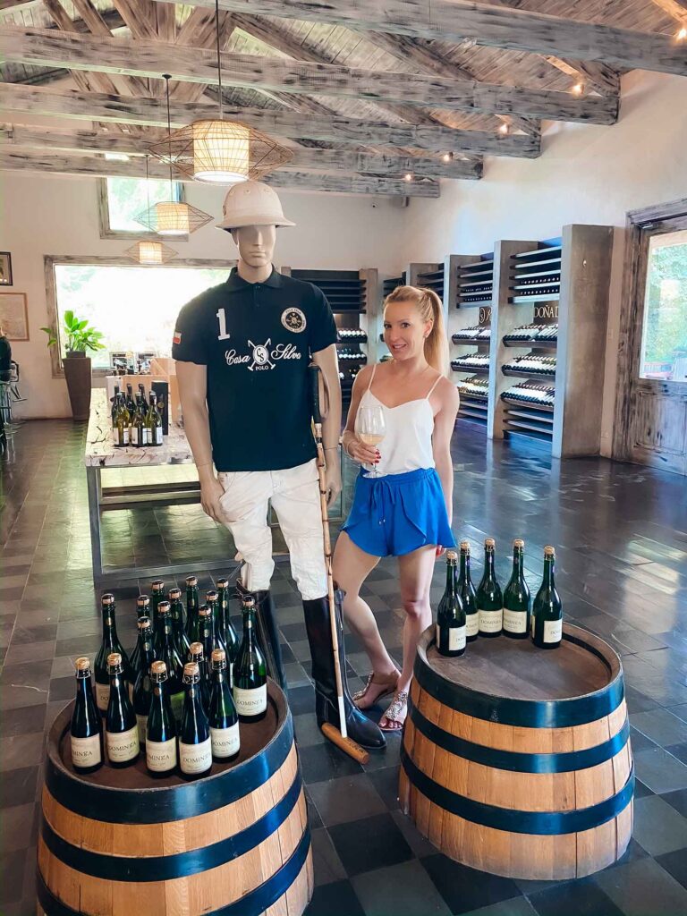 Casa Silva Winery Wine Tasting Tour white wine