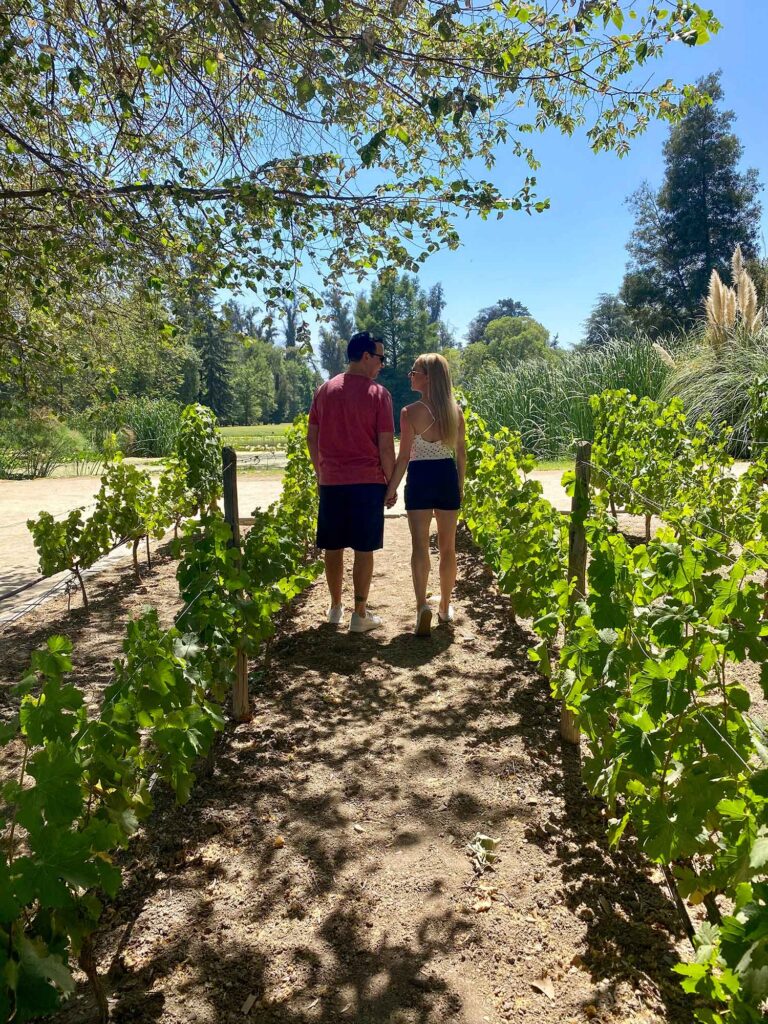 Concha Y Toro winery Chile gardens