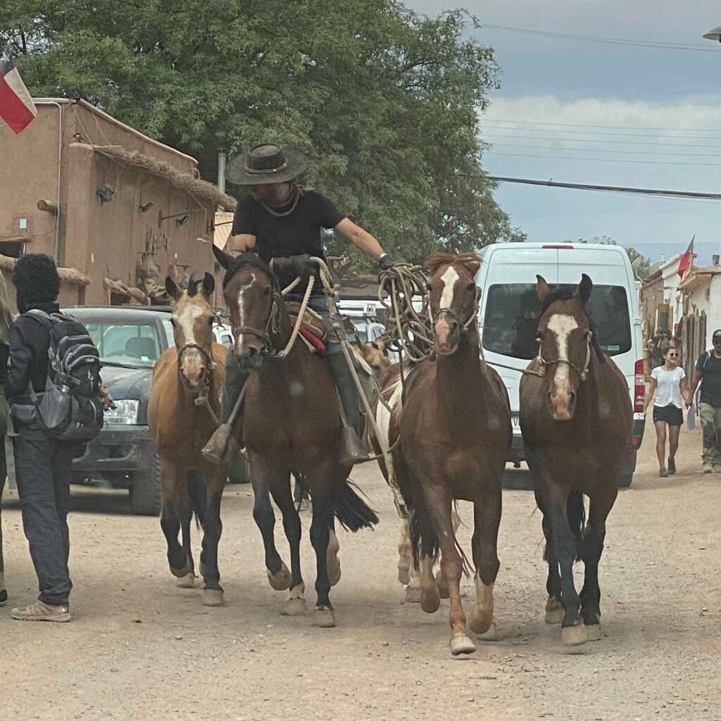 San Pedro de Atacama main street horses
