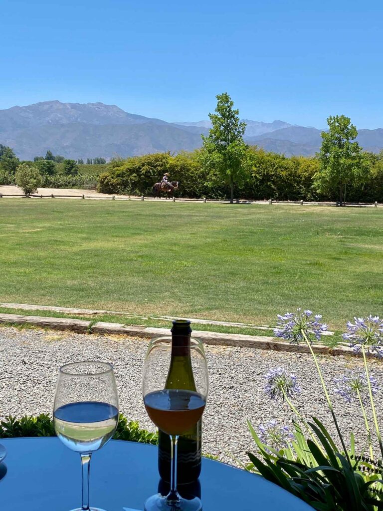 Casa Silva Winery Colchagua Valley Chile