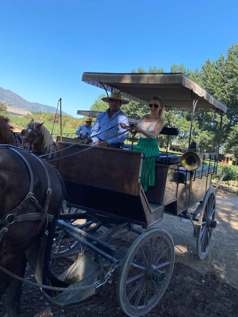 Viu Manent wine tour horse carriage ride chile