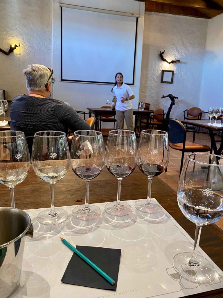 wine tasting chile Viu Manent