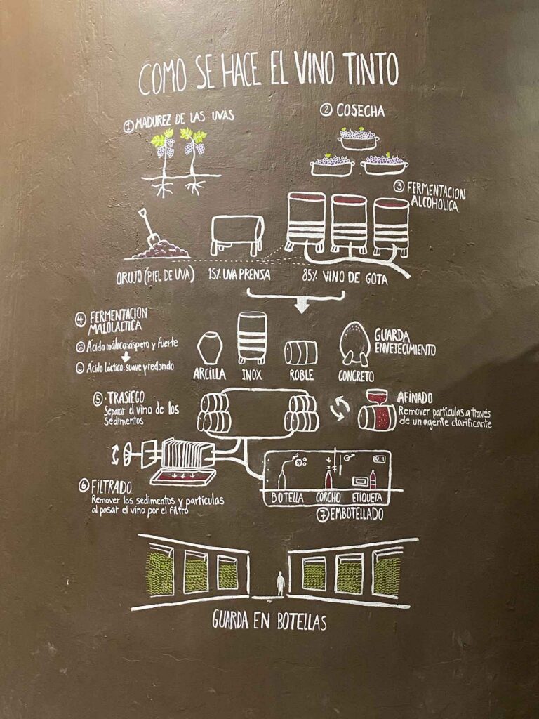 Viu Manent wine tasting chile