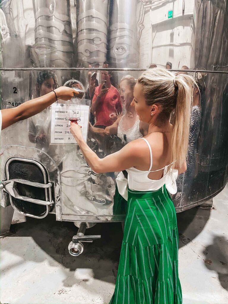 Viu Manent winery tour colchagua valley chile