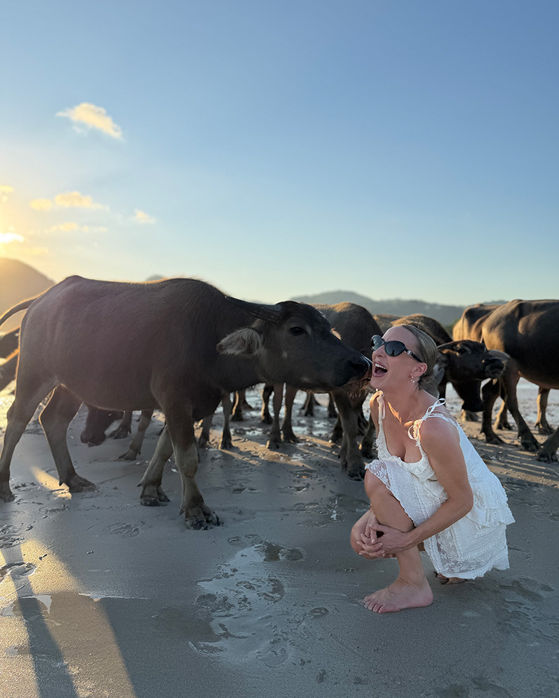 best things do lombok selong belanak water buffalo sunset