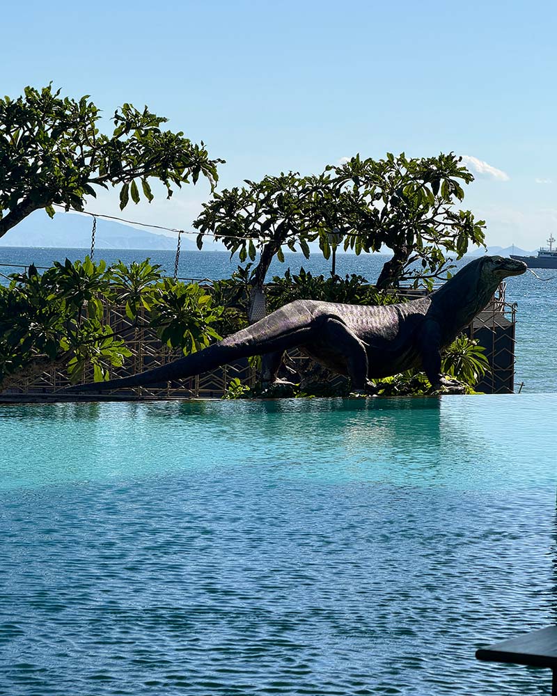 katamaran resort hotel komodo review pool
