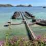 Katamaran Hotel & Resort Komodo review overwater villas