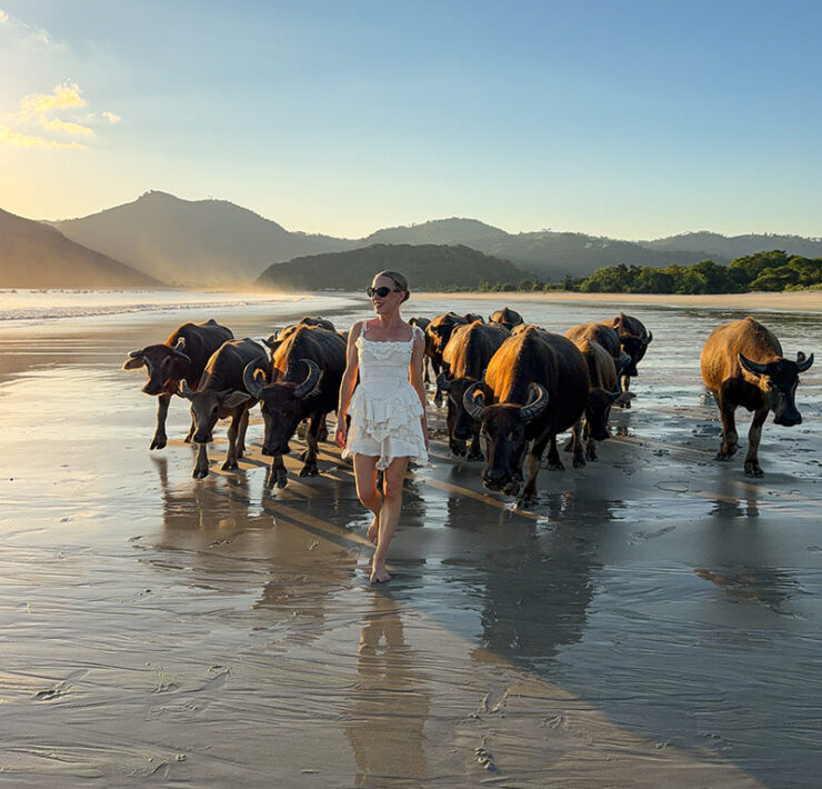 Selong Belanak lombok water buffalo beach sunset