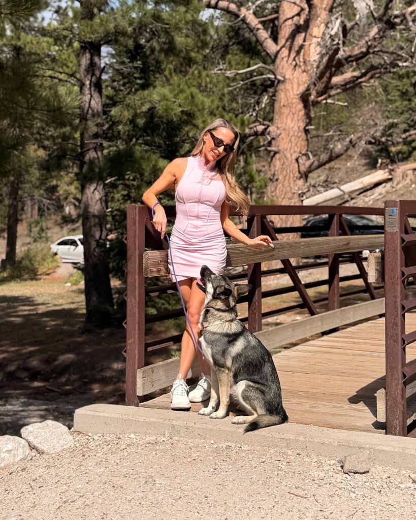 wiskii discount code pink kinetic dress